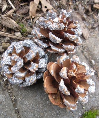 glittered pinecones