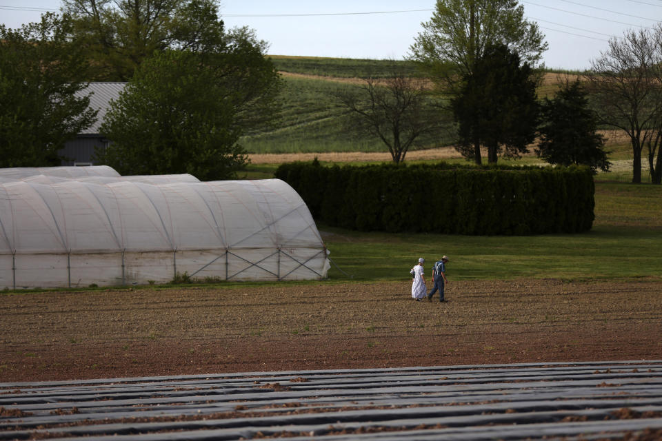 In this Saturday, May 16, 2020, photo, a family walks their field in the Mennonite Valley of Lancaster County, Pa. (AP Photo/Jessie Wardarski)