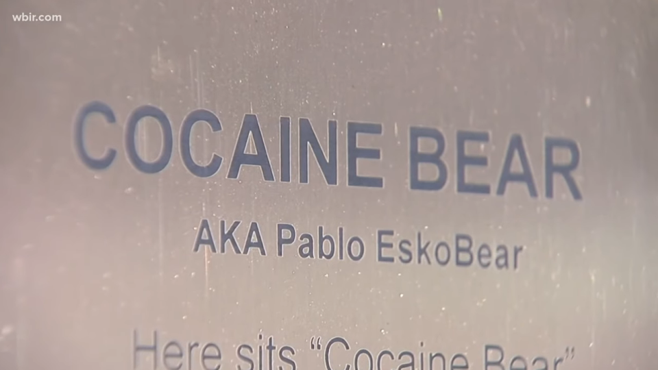 Plaque that says "cocaine bear"