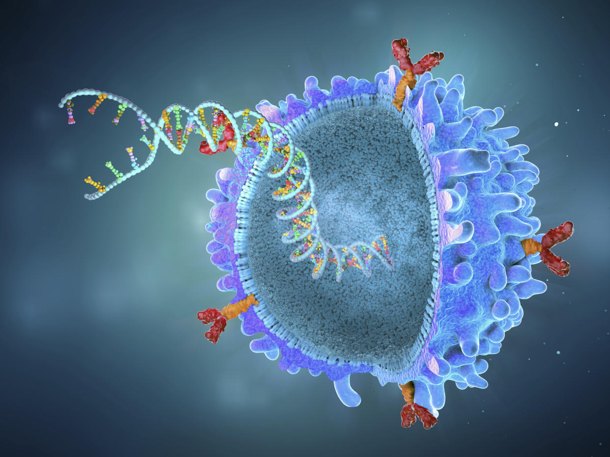 CAR T cell with implanted gene strain, illustration