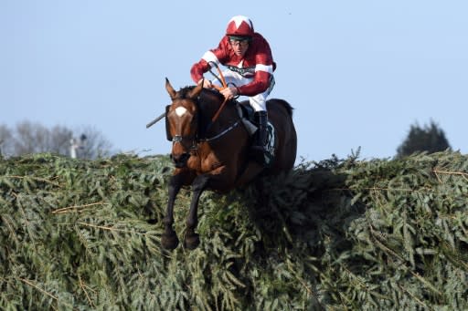 Tiger Roll will next bid for a second straight Grand National crown