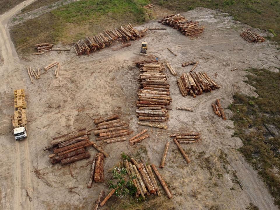 An aerial view of groups of logs in a clearing