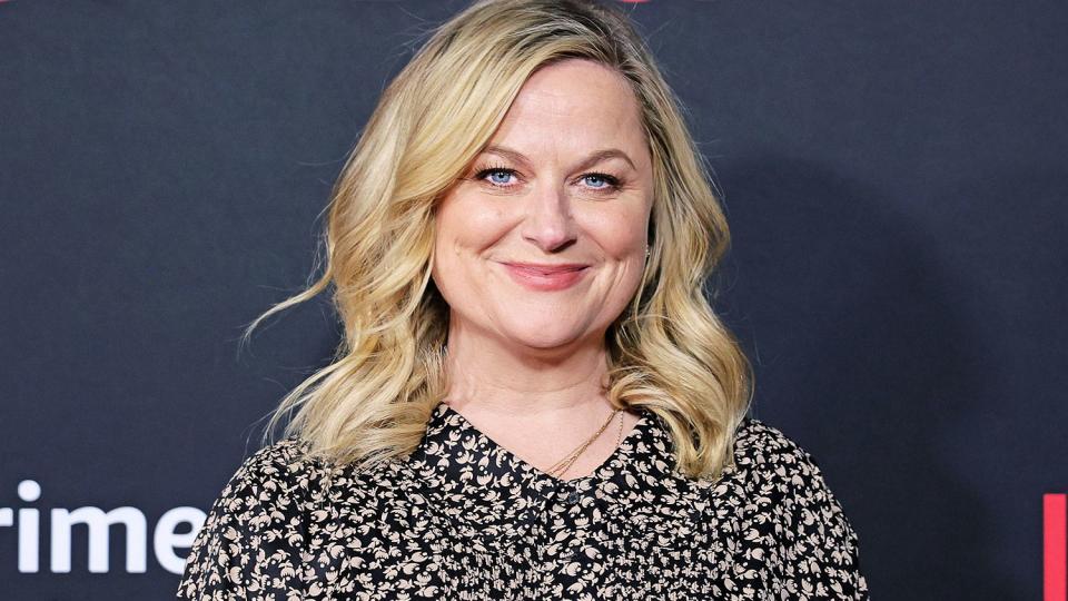 Amy Poehler