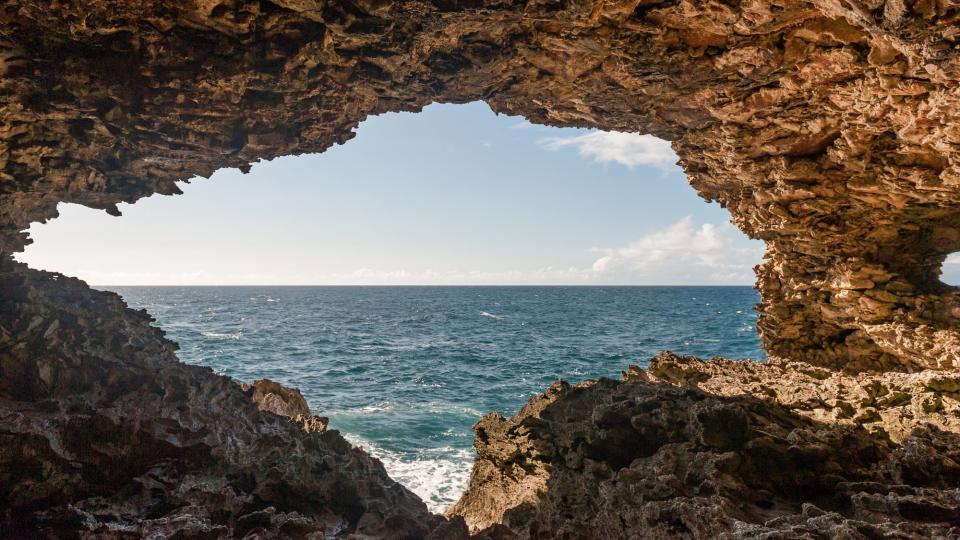 Inside the Animal Flower Cave in Barbados