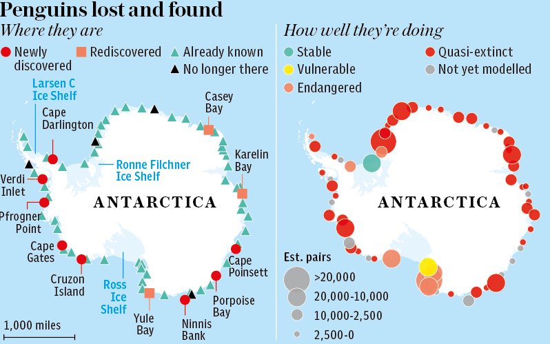 A map showing where the new colonies were found, compared to the locations where they could be in danger due to climate change.  - Data: British Antarctic Survey / Graphic: Daily Telegraph