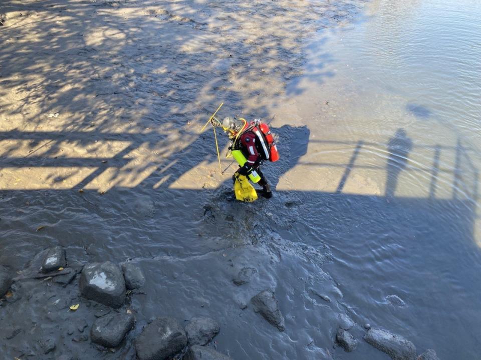 Diver on the bank of the Hackensack River.