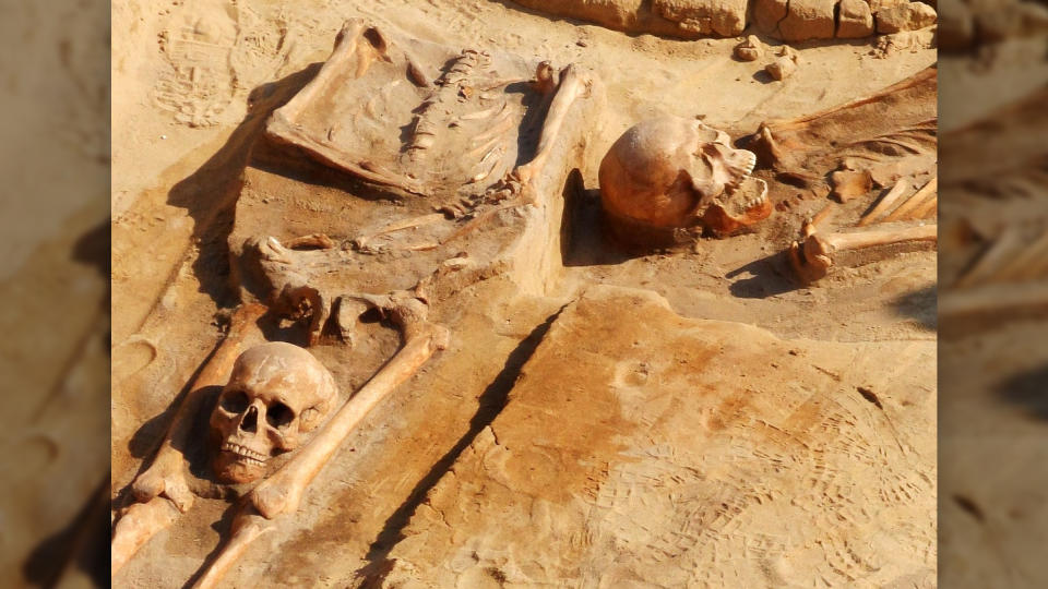 This photo shows a decapitated burial with the head placed by the legs.