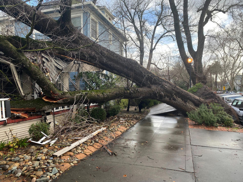 A tree collapsed and ripped up the sidewalk damaging a home in Sacramento, Calif., Sunday, Jan. 8, 2023. The weather service's Sacramento office said the region should brace for an even more powerful storm system to move in late Sunday and early Monday. “Widespread power outages, downed trees and difficult driving conditions will be possible," the office said on Twitter. (AP Photo/Kathleen Ronayne)