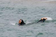 A Muslim woman wears a burkini, a swimsuit that leaves only the face, hands and feet exposed, as she swims in the Mediterranean Sea in Marseille, France, August 17, 2016. REUTERS/Stringer