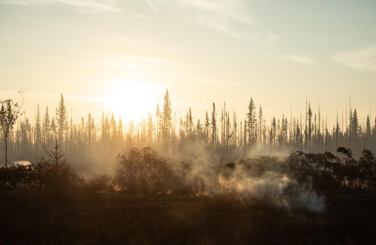 Fire burning underground near Enterprise, N.W.T., last October. On Wednesday, territorial officials warned of dry, windy and warm conditions expected in the South Slave and Dehcho regions in the coming days, increasing the risk of fire.  (Jason Franson/The Canadian Press - image credit)