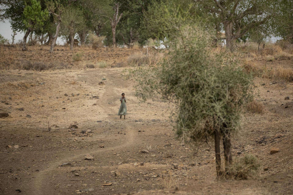A girl walks along a path off the main road near Danshe, a town in an area of western Tigray annexed by the Amhara region during the ongoing conflict, in Ethiopia Saturday, May 1, 2021. Ethiopia faces a growing crisis of ethnic nationalism that some fear could tear Africa's second most populous country apart, six months after the government launched a military operation in the Tigray region to capture its fugitive leaders. (AP Photo/Ben Curtis)