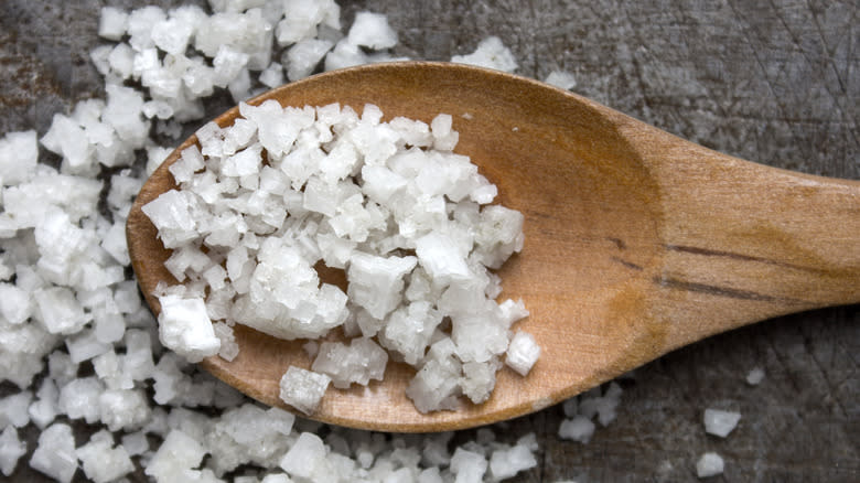 kosher salt on a spoon