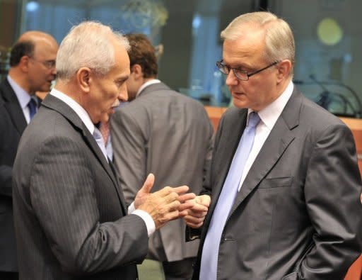 Cyprus' Finance Minister Vasos Shiarly (L) speaks with European Union Commissioner for Economic and Monetary Affairs Olli Rehn before a Eurozone meeting. European Union finance ministers bought Spain more time to revive its sickly economy on Tuesday, offering 30 billion euros to save the country's banks and protect Europe from more debt contagion