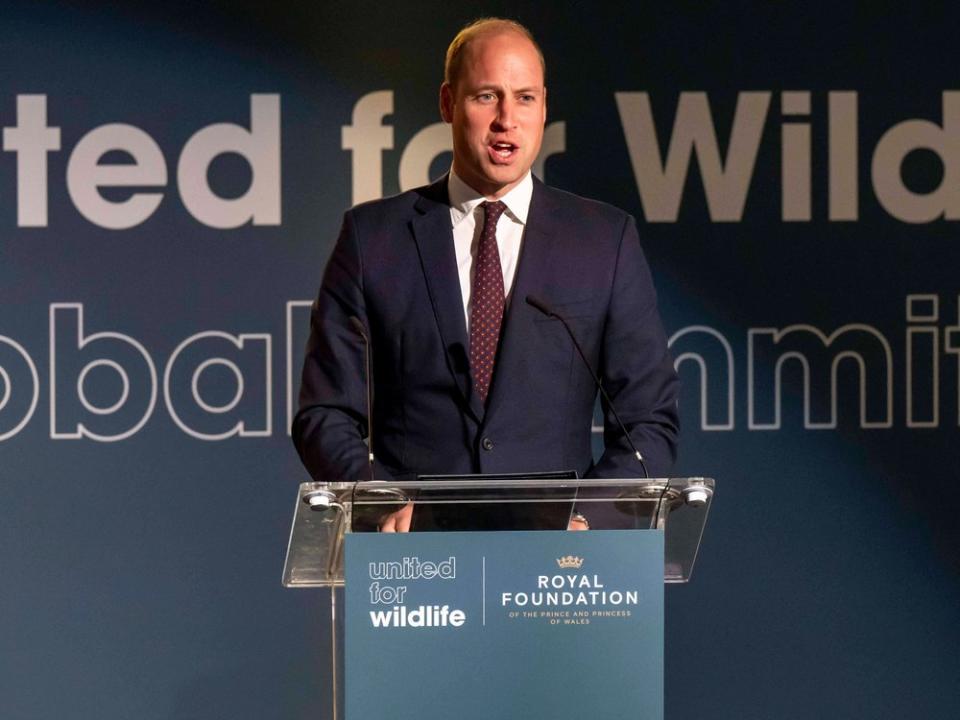 Prinz William hielt eine Rede beim United for Wildlife Global Summit in London. (Bild: imago images/i Images)