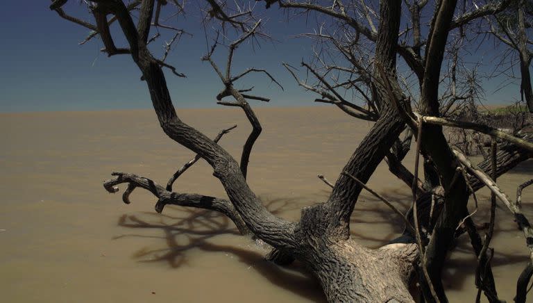 (...) el mismo río, de Alejandro Fernández Mouján, recorre la vera del Río de la Plata, su permanencia y su memoria