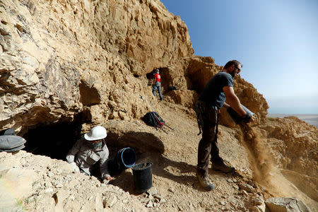 Volunteers and archaeologists work at an archaeological dig near caves in the Qumran area in the Israeli-occupied West Bank January 15, 2019. REUTERS/Ronen Zvulun