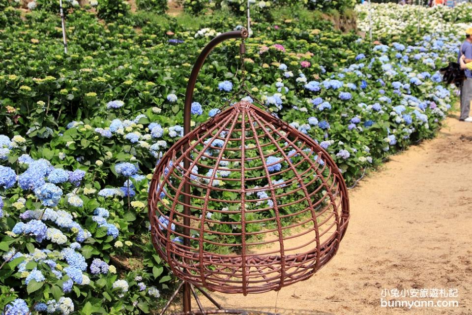 新北景點｜高家繡球花田萬里第三園區