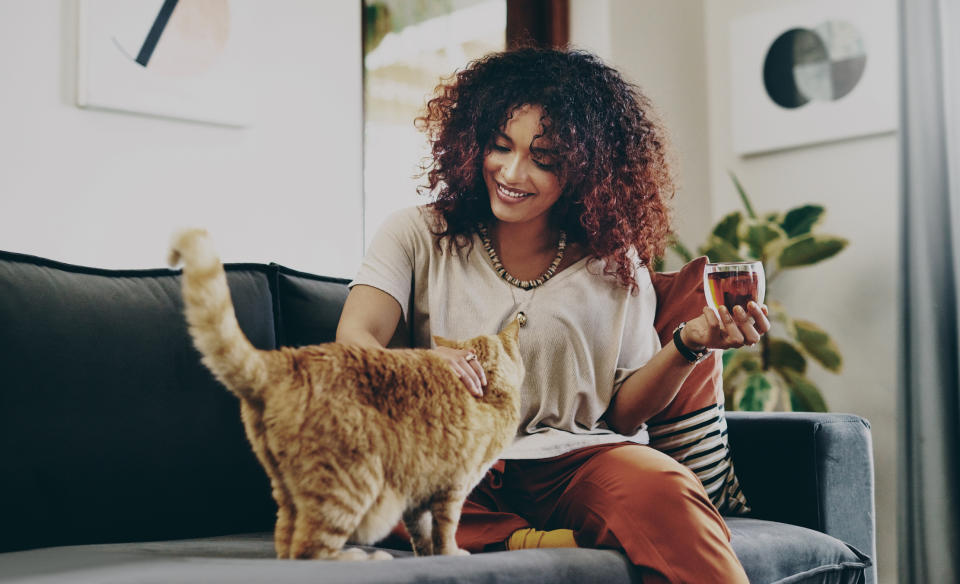 A pet-nup can help avoid conflict after a relationship break-up. (Getty Images)