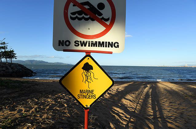 Swimmers at Fraser Island are warned to stay out of the water following the discovery of a highly venomous irukandji jellyfish. Source: 7 News, file