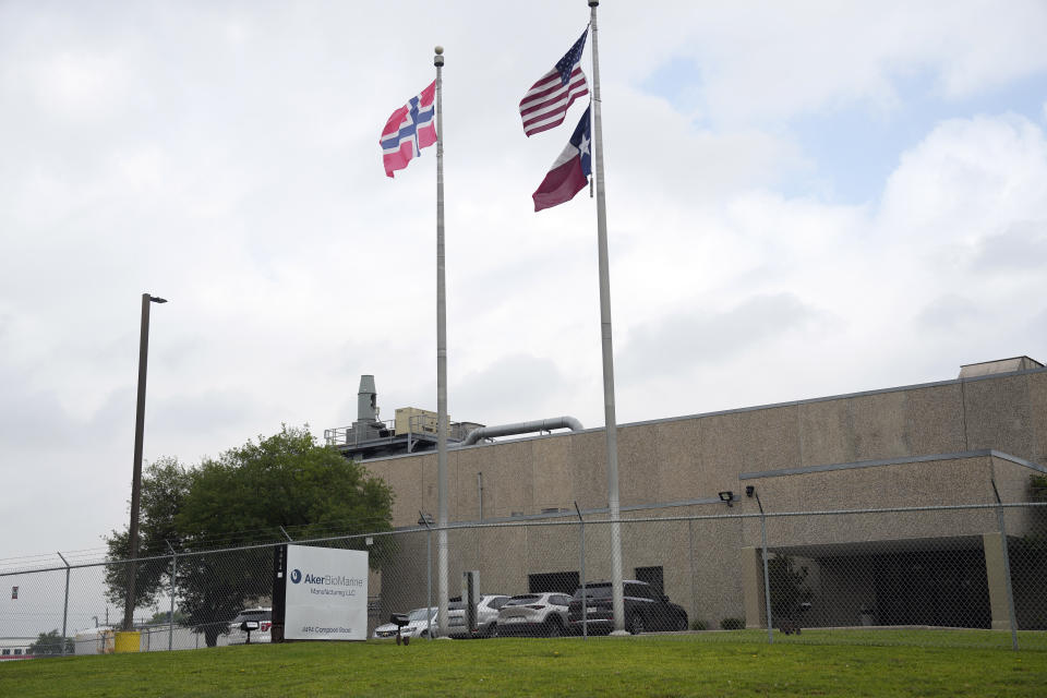 The flags of Norway, the United States and Texas fly in front of Aker BioMarine facilities in Houston on Wednesday, April 26, 2023. The Norwegian company is responsible for about 70% of the global krill catch by volume. It’s also driving innovation, having recently introduced continuous fishing with long, cylindrical nets attached to vacuums that have the capacity to suck up 1,200 metric tons of krill per day, although the company says its most advanced ship currently averages about 500 metric tons per day - the equivalent daily diet for about 150 humpback whales. (AP Photo/David J. Phillip)