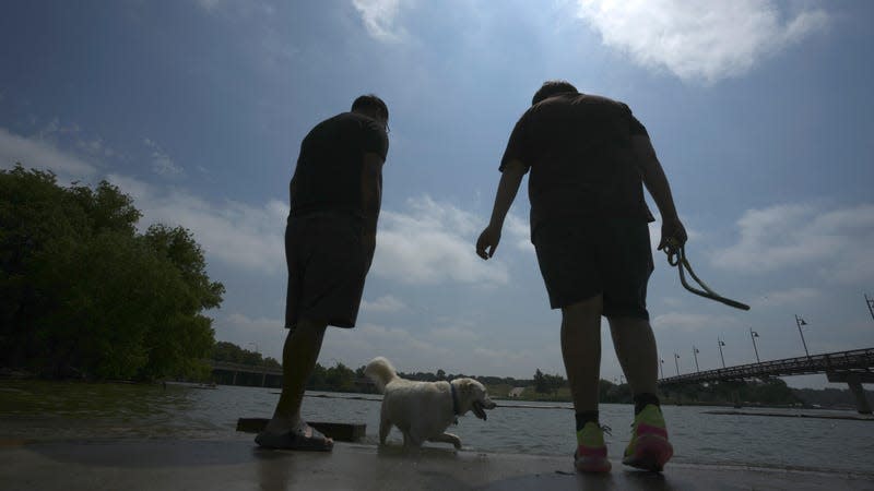 Two brothers bring their dogs to White Rock Lake in Dallas, on June 20, 2023 to cool off. 