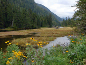 Clayoquot Wilderness Resort