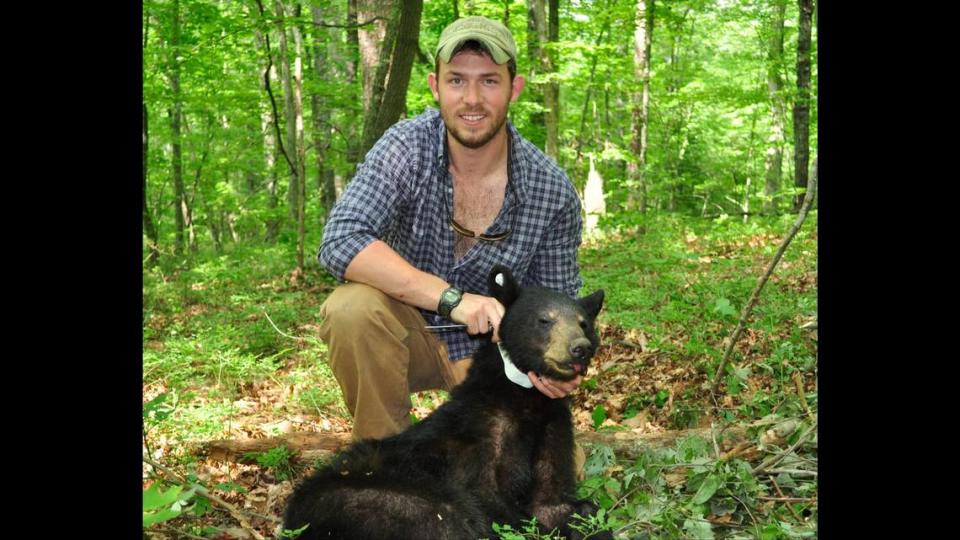 John Hast, the bear and elk program coordinator for the Kentucky Department of Fish and Wildlife Resources, shows a bear caught as part of a research project in southeast Kentucky. This bear is wearing a tracking collar. Hast said he believes the bear seen in southern Illinois this month came from Kentucky.
