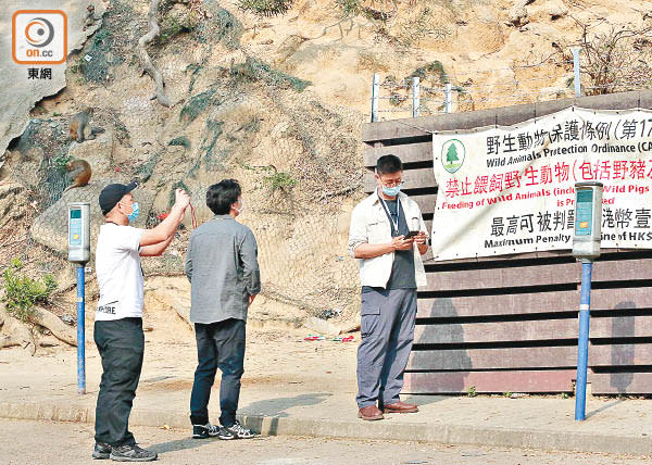 漁護署職員到場視察遊人餵飼猴子情況，遇記者查詢才裝模作樣走近棘線了解及拍照。