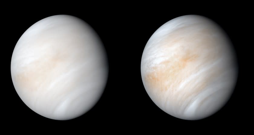 As it sped away from Venus, NASA's Mariner 10 spacecraft captured this seemingly peaceful view of a planet the size of Earth, wrapped in a dense, global cloud layer. But, contrary to its serene appearance, the clouded globe of Venus is a world of intense heat, crushing atmospheric pressure and clouds of corrosive acid. This newly processed image revisits the original data with modern image processing software. A contrast-enhanced version of this view, also provided here, makes features in the planet's thick cloud cover visible in greater detail.
