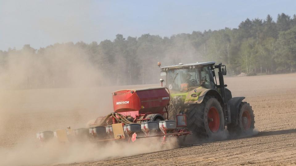 Trockener Ackerboden in Brandenburg.