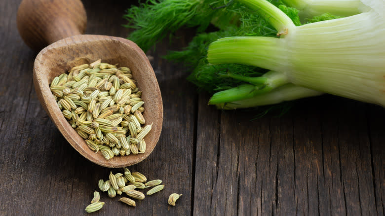 Fennel seeds and whole fennel