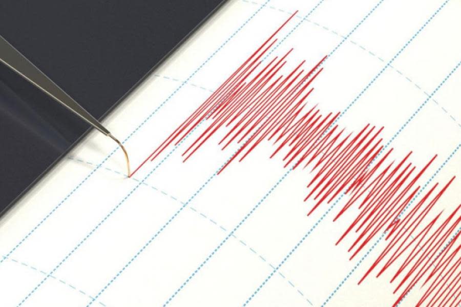 Fuerte sismo de 6.5 grados en Afganistán deja varios muertos y heridos