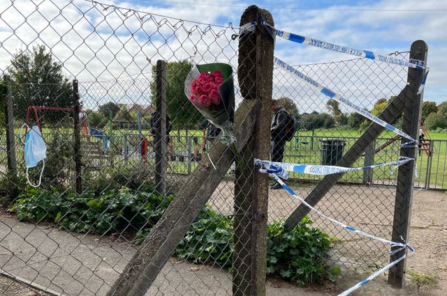 Twickenham stabbing