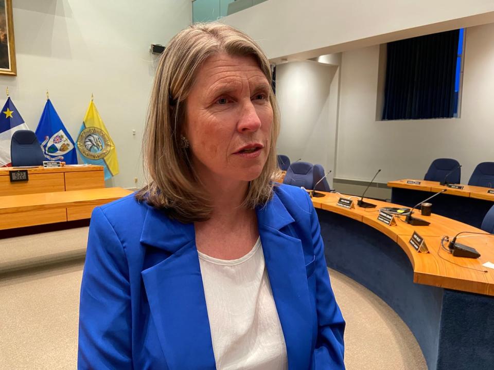 Fredericton Mayor Kate Rogers is calling on the province to change proposed legislation that would give the minister of local government the ability to repeal municipal by-laws.