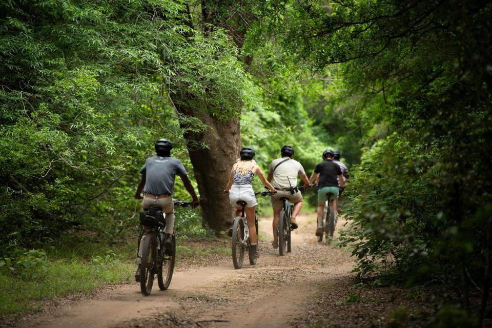 Take to the trails on an Ebike adventure (Phinda Forest Lodge)