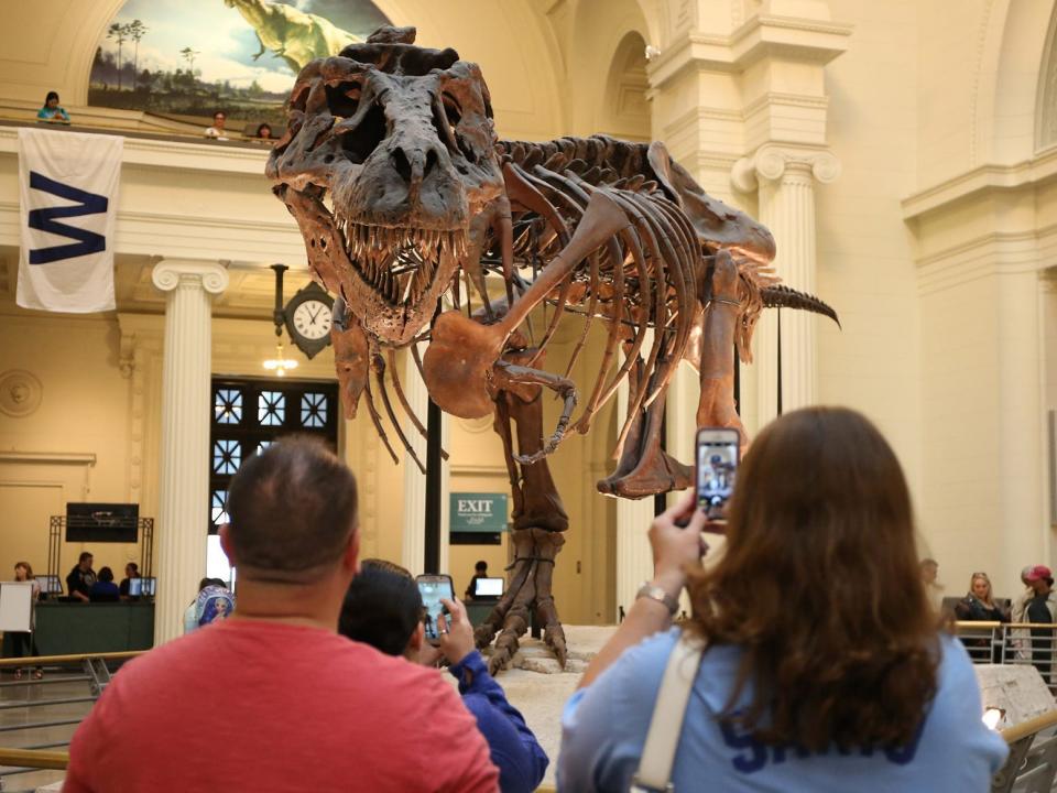 Visitors admire Sue at the Field Museum of Natural History in Chicago on November 24, 2021. One of the best-preserved Tyrannosaurus rex specimens ever found, Sue was acquired at auction by the Field Museum in 1997 for $8.36 million.