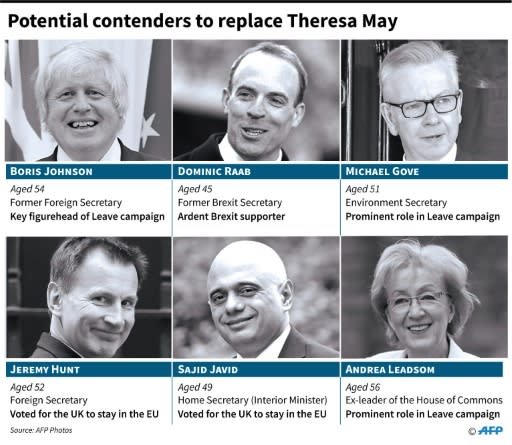 Potential candidates to succeed Theresa May