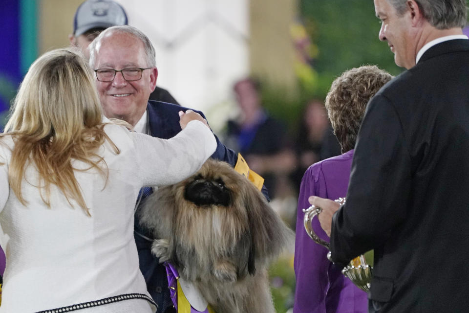 Competitors congratulate David Fitzpatrick, second from left, owner, breeder and handler of Wasabi, a Pekingese, who won Best in Show at the Westminster Kennel Club dog show, Sunday, June 13, 2021, in Tarrytown, N.Y. (AP Photo/Kathy Willens)