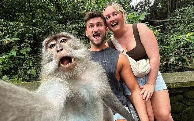 A monkey seemingly snapping a selfie with Chloe and Craig Dennis in Bali