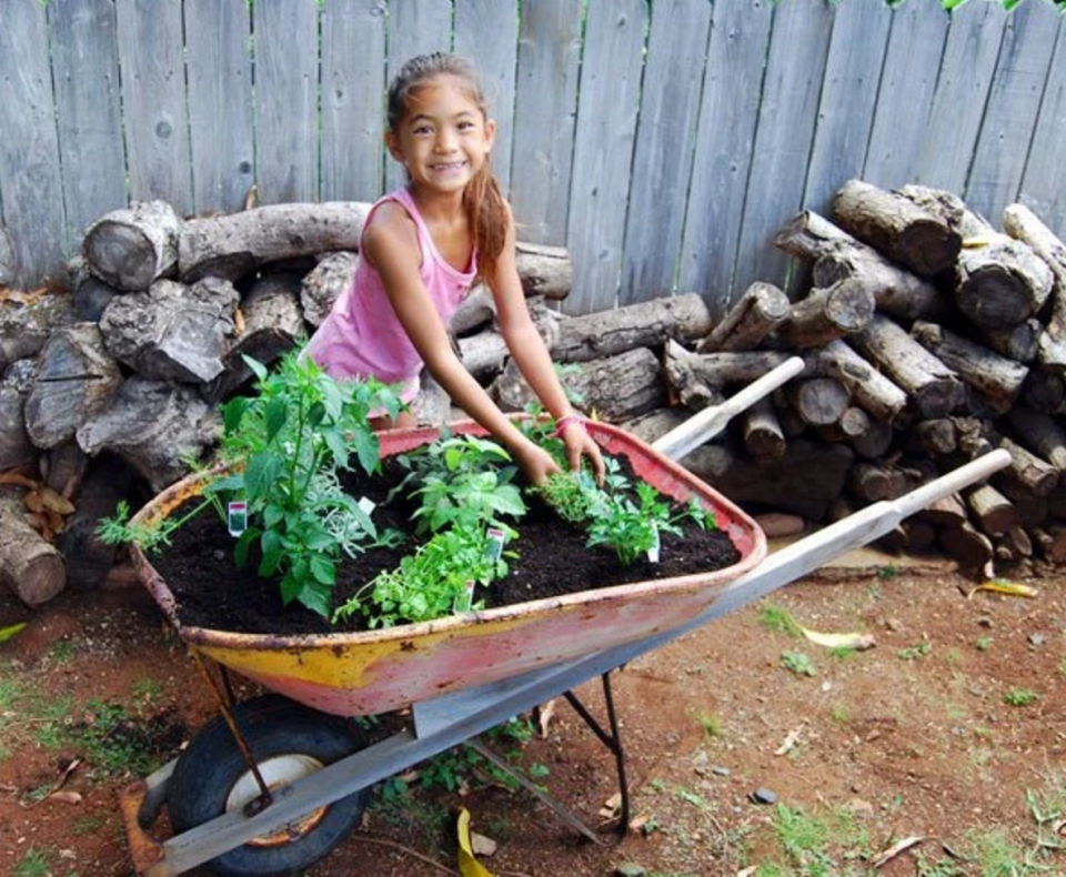 After: Herb Garden