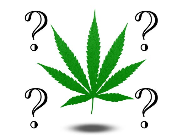 Marijuana leaf with question marks