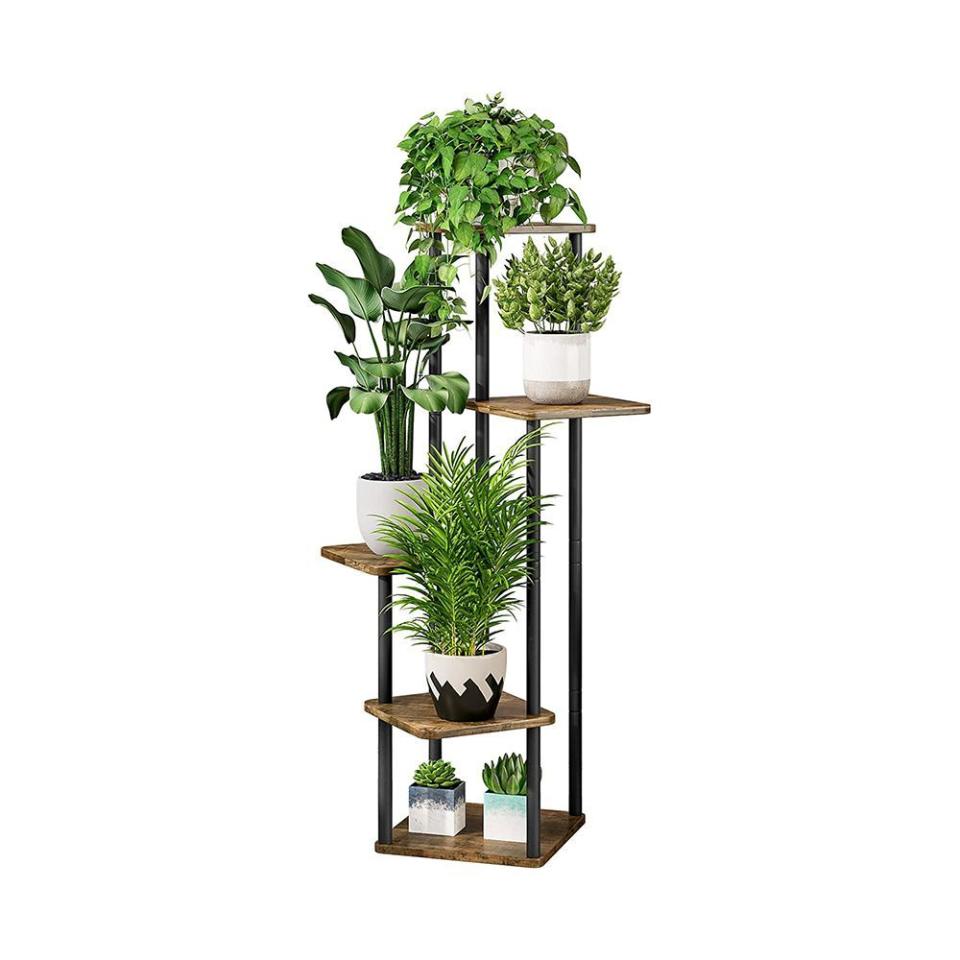 Plant Stand 5 Tier