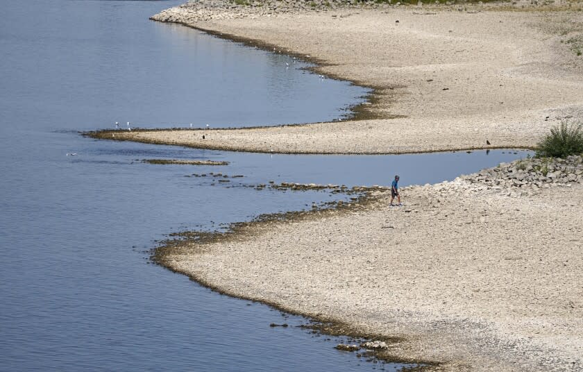 Un hombre camina junto a la ribera reseca del río Rin en Colonia (Alemania) el 10 de agosto del 2022. El calenamiento del planeta provoca fuertes sequías y cambios climáticos repentinos, en los que se pasa de un extremo al otro. (AP Photo/Martin Meissner, File)