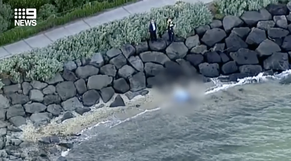 A jogger found the body of a woman in the water in Brighton this morning. Source: Nine News