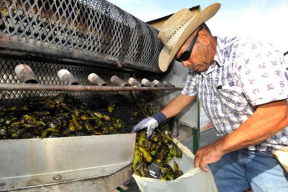 MICHAEL SCHUMACHER / AMARILLO GLOBE-NEWS Ricardo Gabrera roasts hatch chilis from New Mexico on Monday at Fiesta Foods. As the chili harvest reached full production for the famous peppers, Gabrera roasted more than 1,500 pounds Saturday.