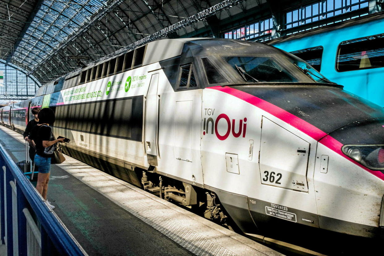 Des TGV inOui à partir de 29 euros sont mis en vente pour cet été par la SNCF.  - Credit:ANDBZ / ABACA