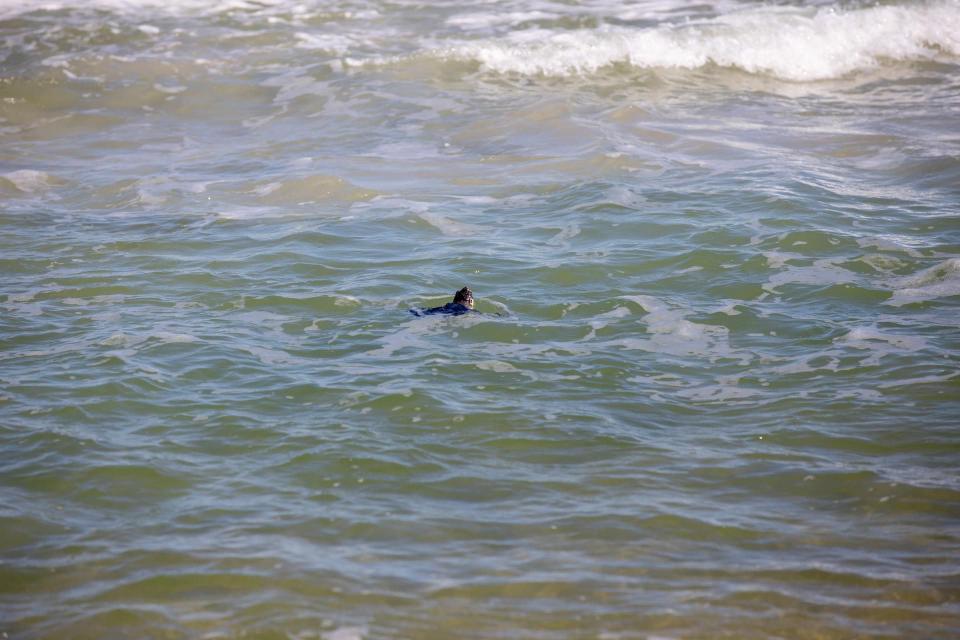 Staff with NASA, the National Park Service, Herndon Solutions Group, the center’s environmental services contractor, and others released Kemp’s ridley sea turtles into the Atlantic Ocean at the Canaveral National Seashore near Kennedy Space Center on Friday.