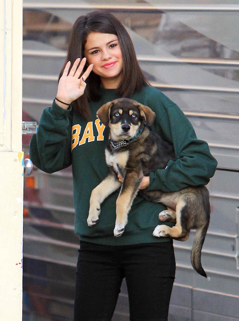 Selena Gomez Adopted Puppy