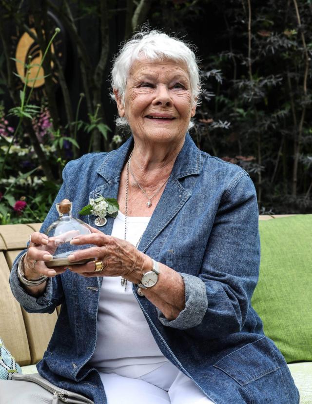 88-Year-Old Judi Dench's Unintentional 'Birthday Suit' Video Chat