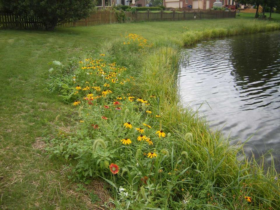 Leave a three foot buffer zone of undisturbed vegetation along waterfronts to help filter stormwater runoff.